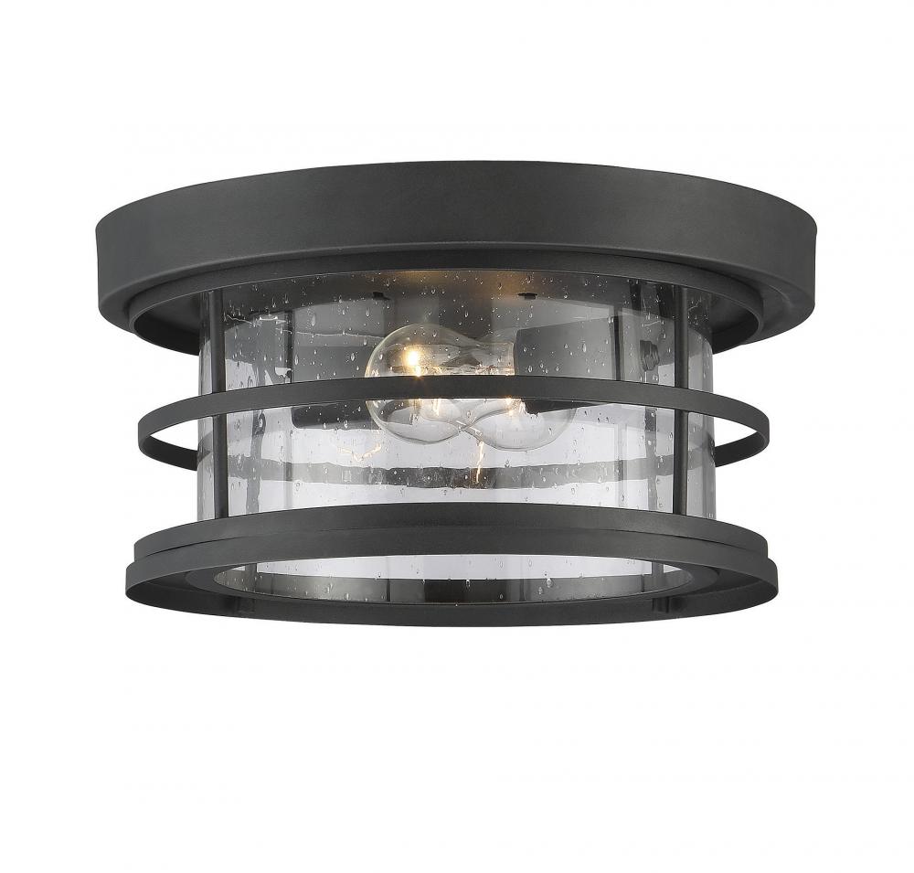 Barrett 2-Light Outdoor Ceiling Light in Black