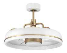 Craftmade TYL24WSB3-NWF - 24" Ceiling Fan w/DC  Motor, Blades, LED Light Kit, Damp Rated, Non WiFi