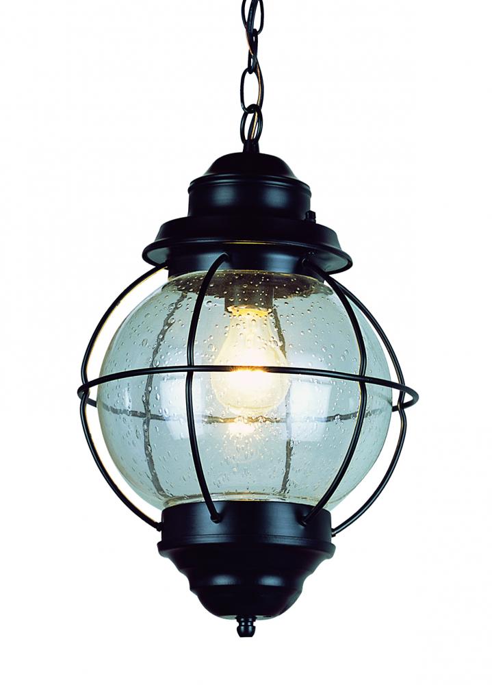 1 LT MED HANGING-OUTDOOR-ONION