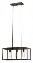 Trans Globe 10214 ROB - 4LT PENDANT-RECT-EDISON-ROB (X