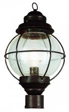 Trans Globe 69905 RBZ - 1 LT LARGE POST-OUTDOOR-ONION