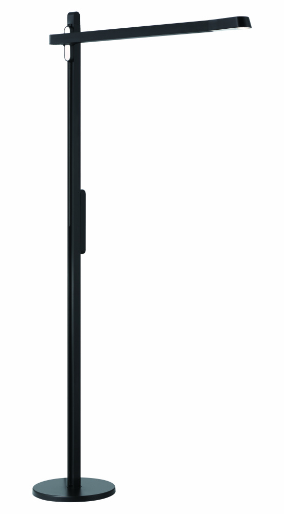 LED Floor Lamp